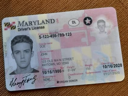 fake maryland driver license